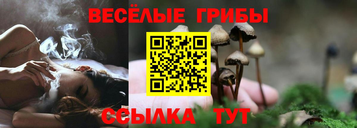 купить  цена  Вход с VPN  Соль-Илецк  Галлюциногенные грибы Cubensis  Галлюциногенные грибы Psilocybine cubensis 